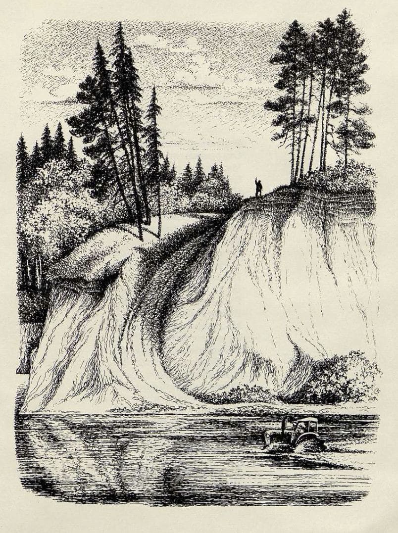 Белозёров Тимофей Максимович «Смородиновый куст» / рисунки Н. Короткина