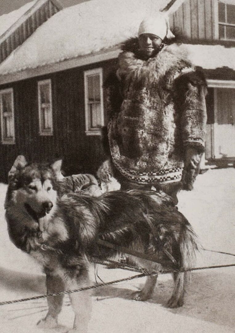 Dzhek London alyaska