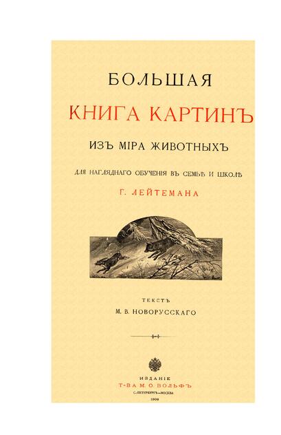 Большая книга картин из мира животных