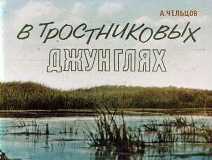 В тростниковых джунглях