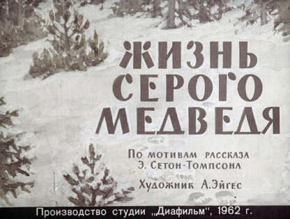 Жизнь серого медведя