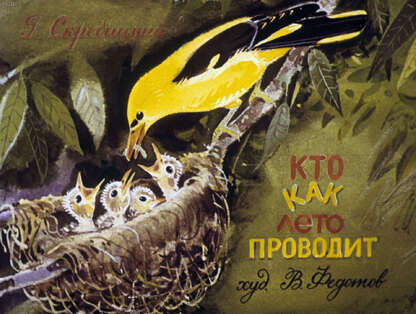 Кто как лето проводит