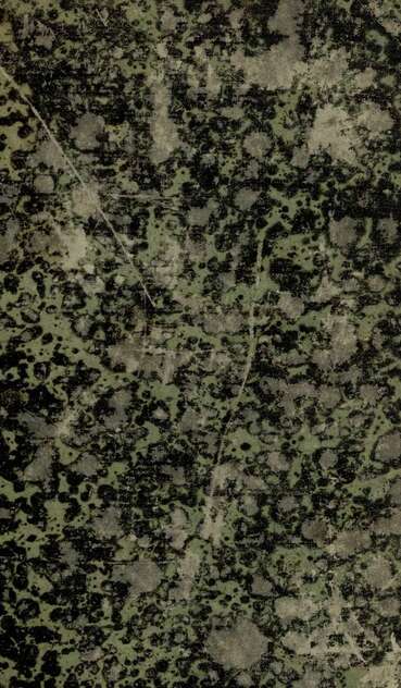 Серый армяк, или Исполненное обещание