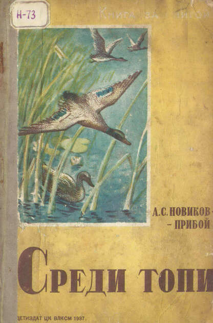 Среди топи