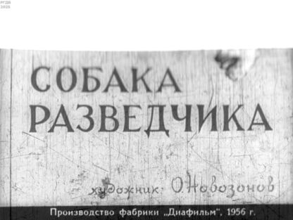 Собака разведчика