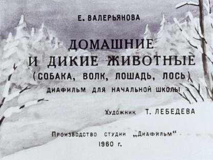 Домашние и дикие животные (собака, волк, лошадь, лось)