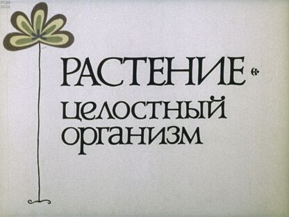 Растение - целостный организм