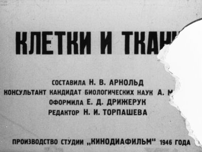Клетки и ткани