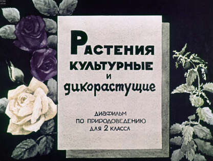 Растения культурные и дикорастущие
