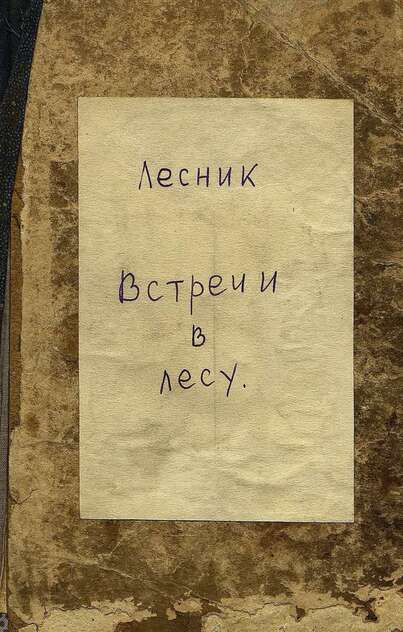Встречи в лесу