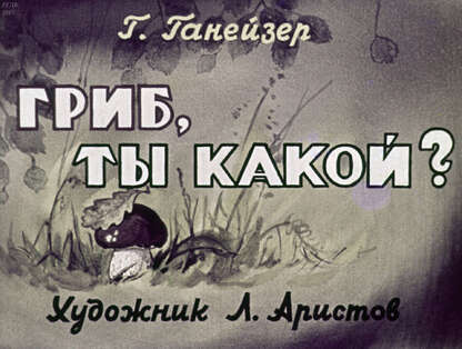Гриб, ты какой?