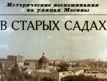 В старых садах