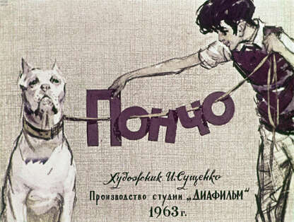 Пончо