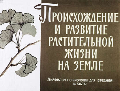 Происхождение и развитие растительной жизни на земле