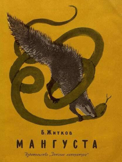Мангуста