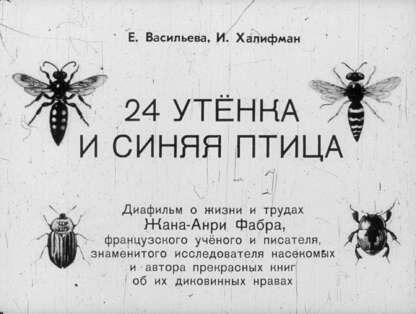 24 утенка и синяя птица