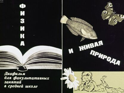 Физика и живая природа