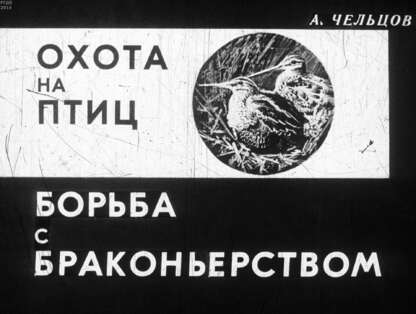 Охота на птиц. Борьба с браконьерством