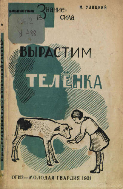 Вырастим теленка