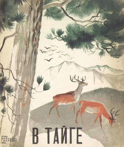 В тайге