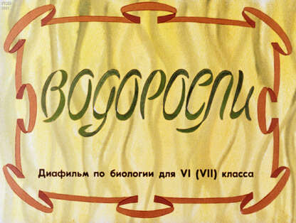 Водоросли