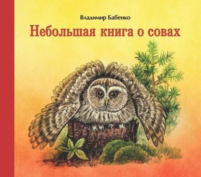 Небольшая книга о совах
