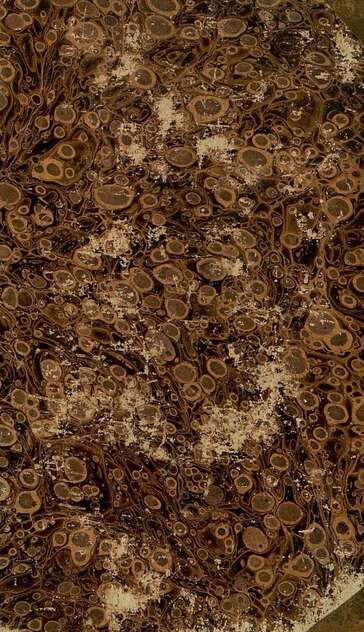 Русская стихотворная хрестоматия. Ч. 1