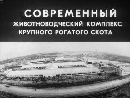 Современный животноводческий комплекс крупного рогатого скота