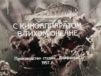 С киноаппаратом в Тихом океане. Часть 1