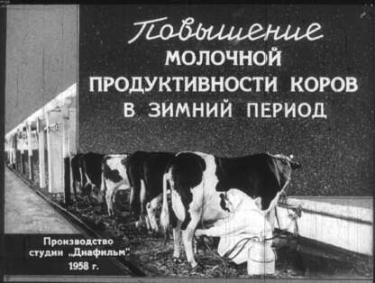 Повышение молочной продуктивности коров в зимний период