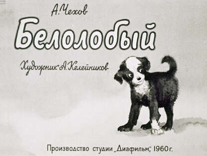 Белолобый