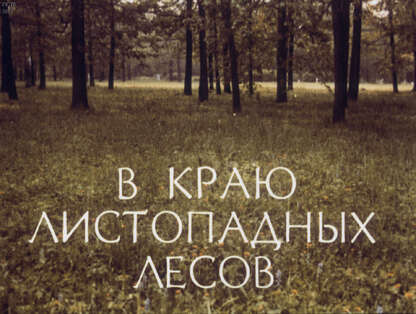 В краю листопадных лесов