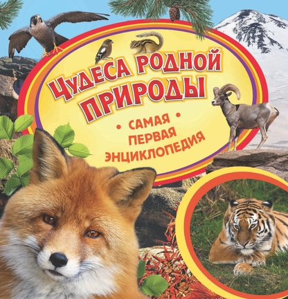 Чудеса родной природы
