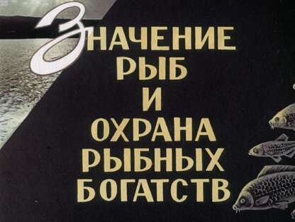 Значение рыб и охрана рыбных богатств