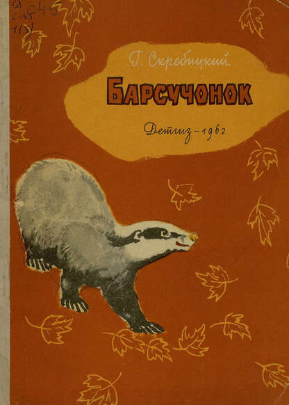 Барсучонок