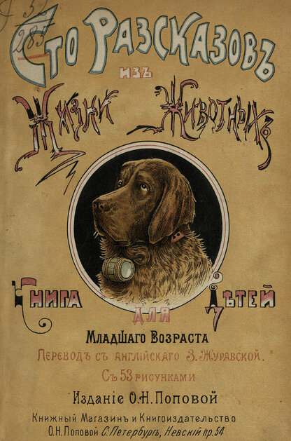 Сто рассказов из жизни животных