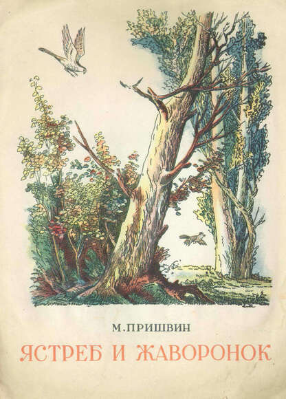 Ястреб и жаворонок