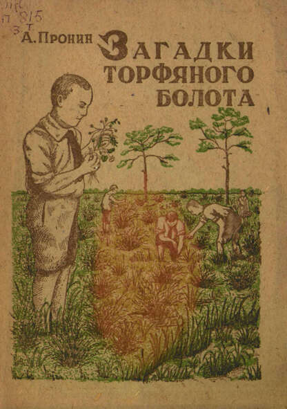 Загадки торфяного болота