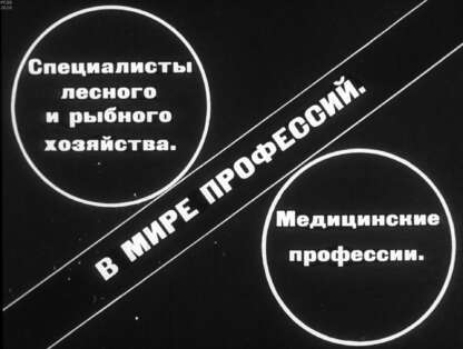 Специалисты лесного и рыбного хозяйства. Медицинские профессии