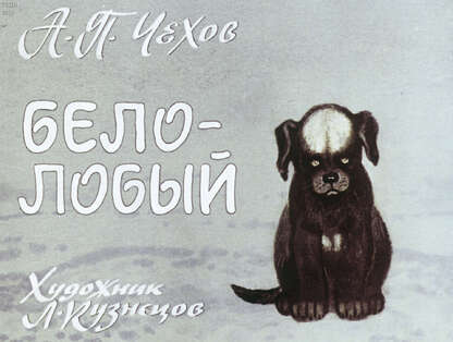 Белолобый
