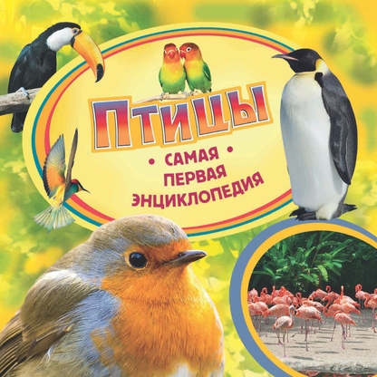 Птицы