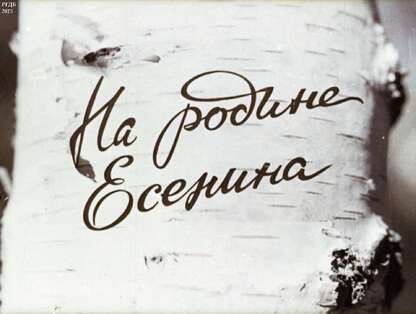 На родине Есенина