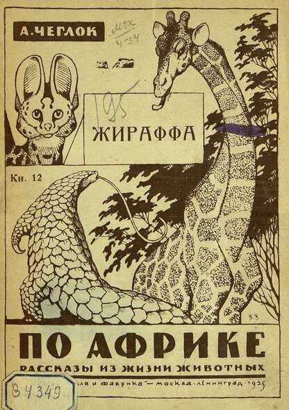 Жираффа