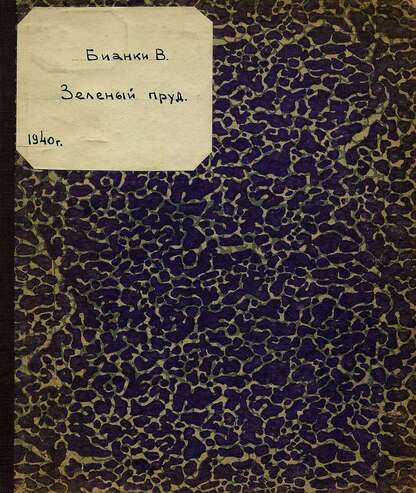 Зеленый пруд