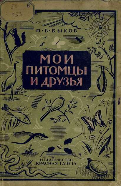 Мои питомцы и друзья