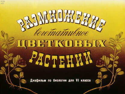 Размножение вегетативных цветковых растений