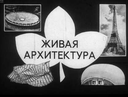 Живая архитектура