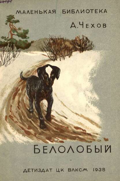 Белолобый