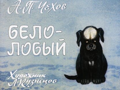 Белолобый