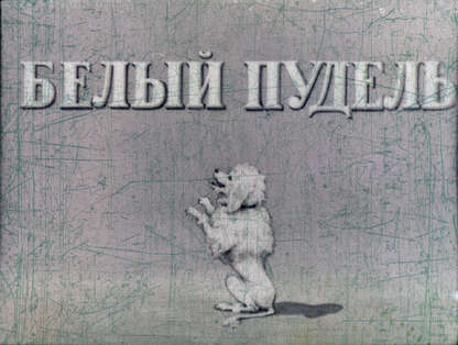Белый пудель